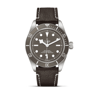 TUDOR Black Bay 58 925 M79010SG-0001
