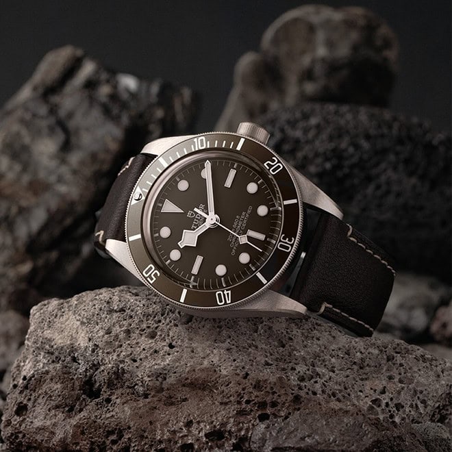 TUDOR Black Bay 58 925 M79010SG-0001 - Image 3