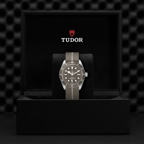 M79010SG 0002 tudor watch carousel 4 4 10 2023