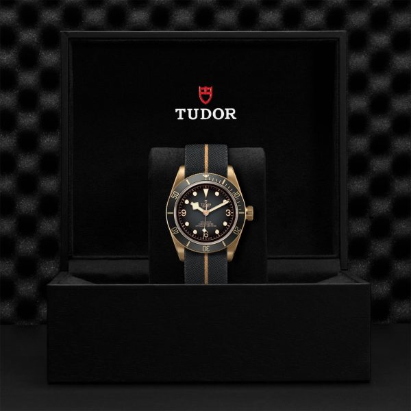 M79250BA 0002 tudor watch carousel 4 4 10 2023