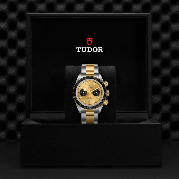 M79363N 0007 tudor watch carousel 4 4 10 2023