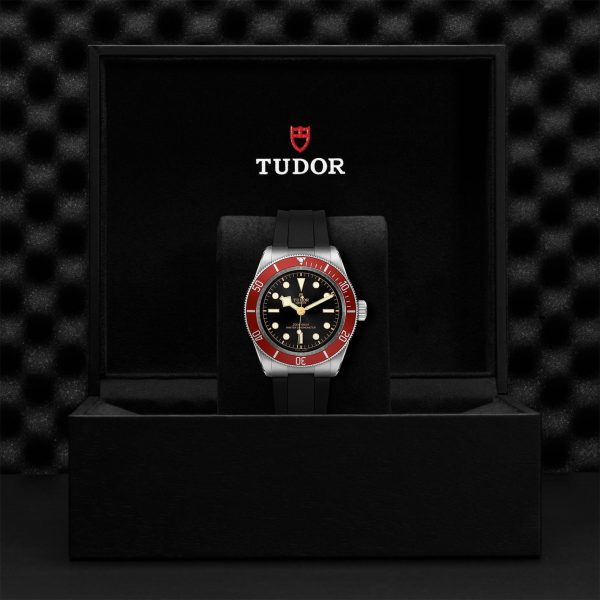 M7941A1A0RU 0002 tudor watch carousel 4 4 10 2023