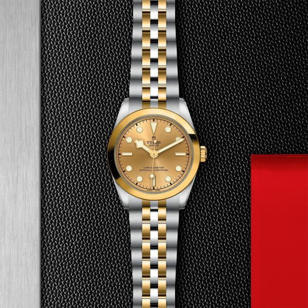 M79603 0005 tudor watch carousel 2 4 10 2023