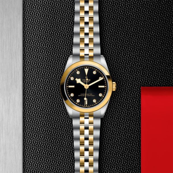 M79603 0006 tudor watch carousel 2 4 10 2023