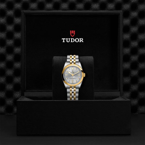 M79603 0007 tudor watch carousel 4 4 10 2023