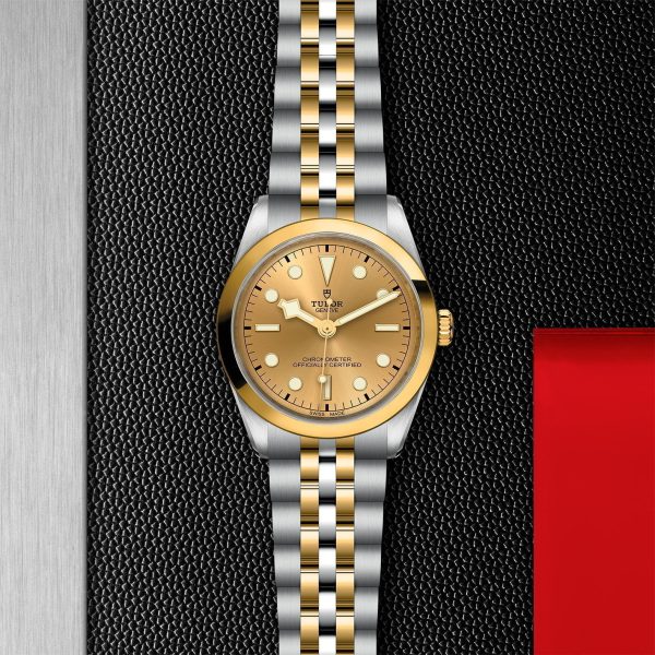 M79643 0005 tudor watch carousel 2 4 10 2023