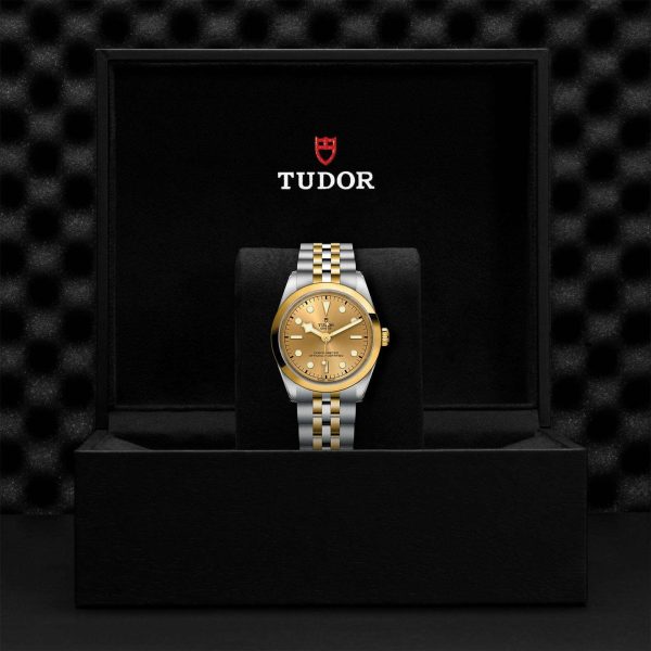 M79643 0005 tudor watch carousel 4 4 10 2023