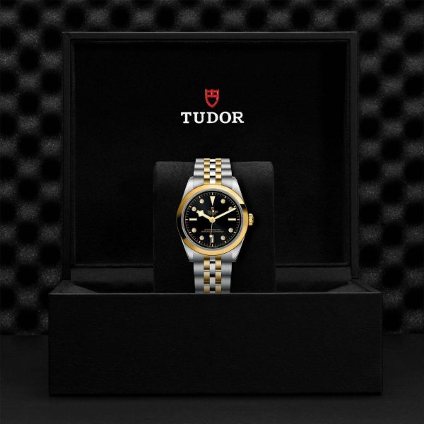 M79643 0006 tudor watch carousel 4 4 10 2023