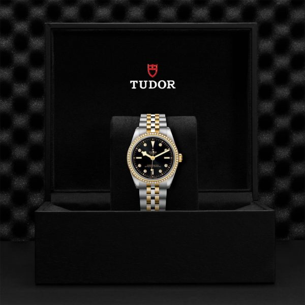 M79653 0005 tudor watch carousel 4 4 10 2023