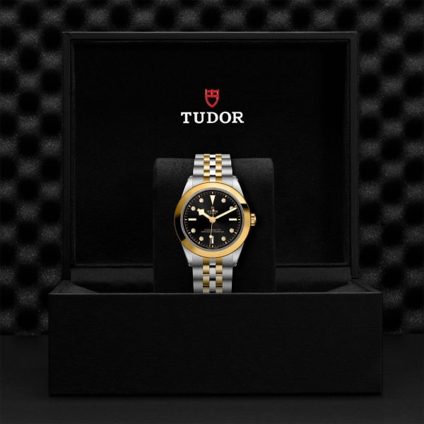 M79663 0006 tudor watch carousel 4 4 10 2023