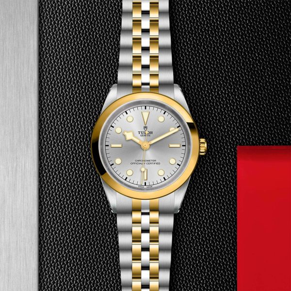 M79683 0002 tudor watch carousel 2 4 10 2023