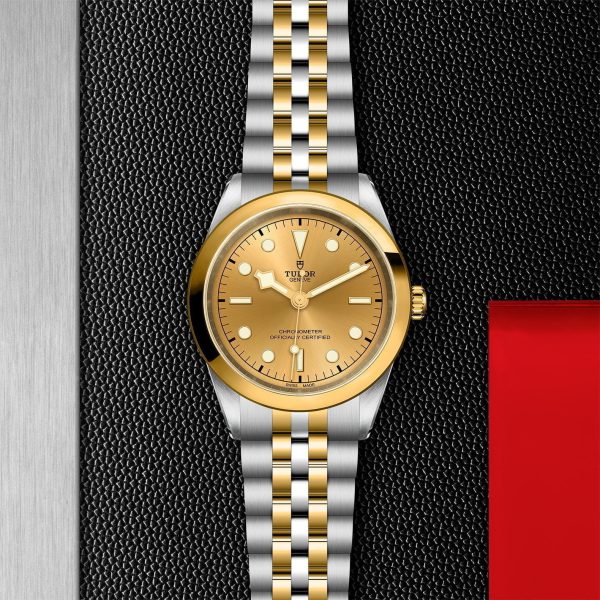 M79683 0005 tudor watch carousel 2 4 10 2023