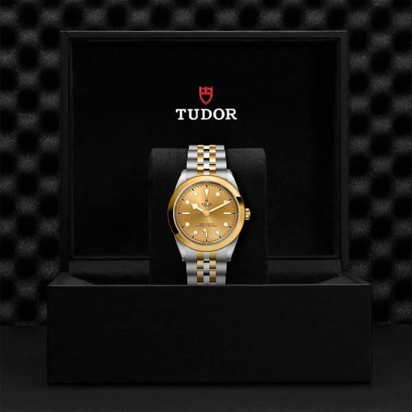 M79683 0005 tudor watch carousel 4 4 10 2023