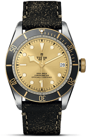 TUDOR Black Bay S&G M79733N-0003