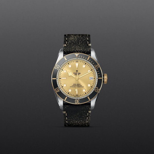 M79733N 0003 tudor watch carousel 1 4 10 2023