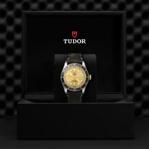 M79733N 0003 tudor watch carousel 4 4 10 2023