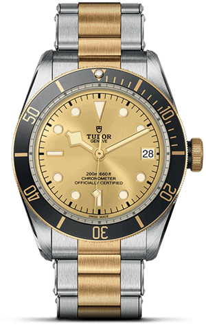 TUDOR Black Bay S&G M79733N-0004