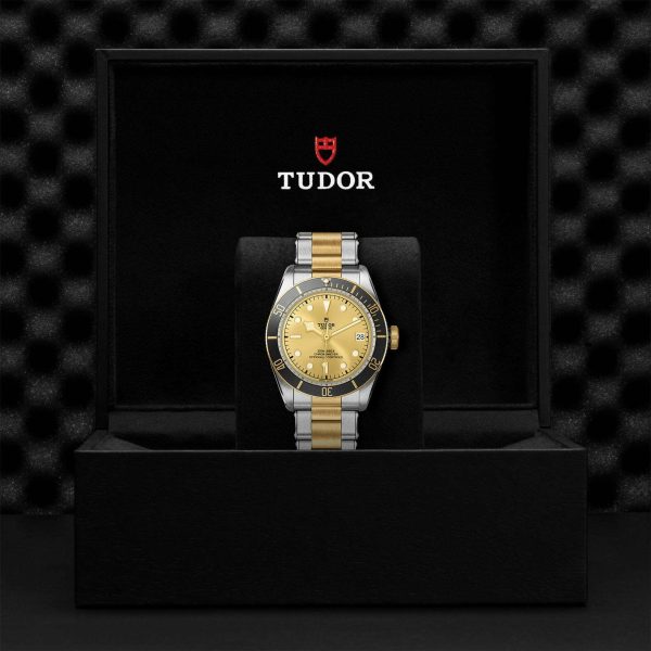 M79733N 0004 tudor watch carousel 4 4 10 2023