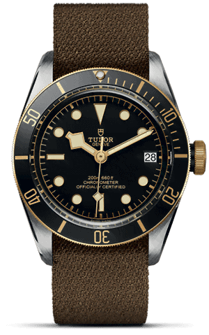 TUDOR Black Bay S&G M79733N-0005