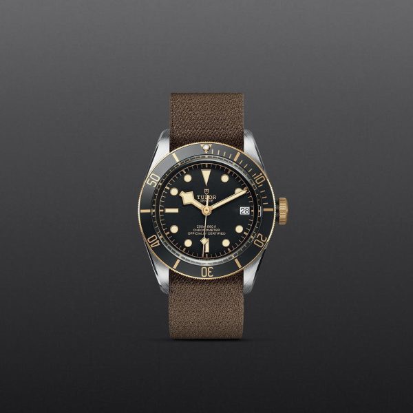 M79733N 0005 tudor watch carousel 1 4 10 2023