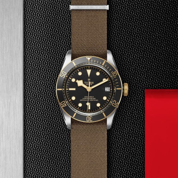 M79733N 0005 tudor watch carousel 2 4 10 2023