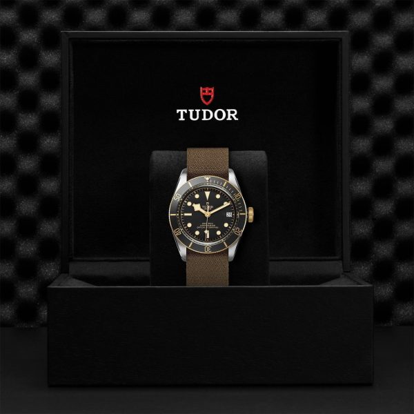 M79733N 0005 tudor watch carousel 4 4 10 2023