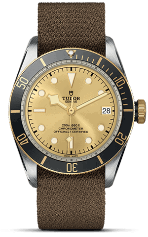 TUDOR Black Bay S&G M79733N-0006
