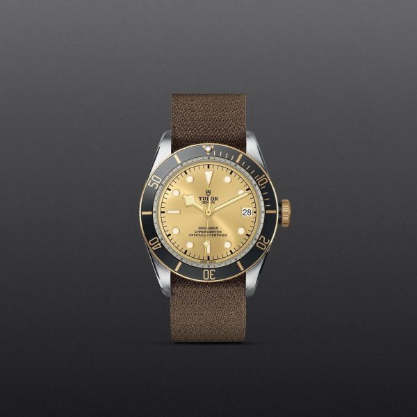 M79733N 0006 tudor watch carousel 1 4 10 2023