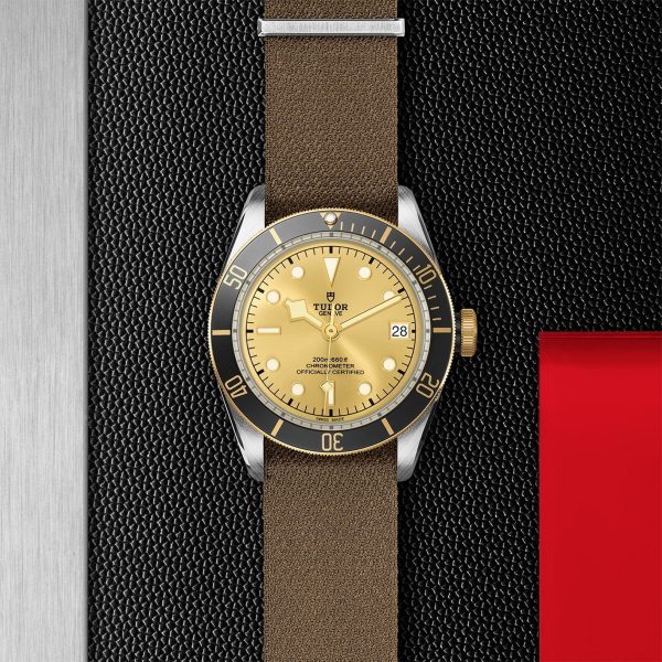 M79733N 0006 tudor watch carousel 2 4 10 2023