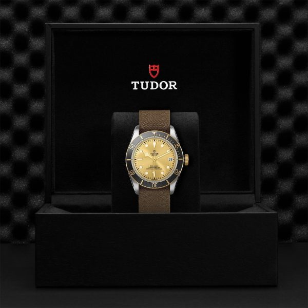 M79733N 0006 tudor watch carousel 4 4 10 2023