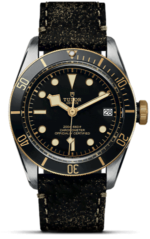 TUDOR Black Bay S&G M79733N-0007