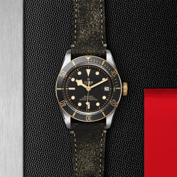 M79733N 0007 tudor watch carousel 2 4 10 2023