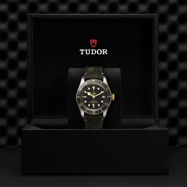 M79733N 0007 tudor watch carousel 4 4 10 2023