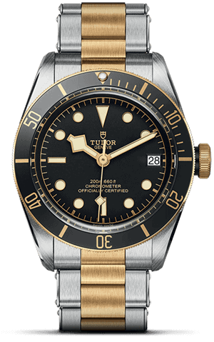 TUDOR Black Bay S&G M79733N-0008