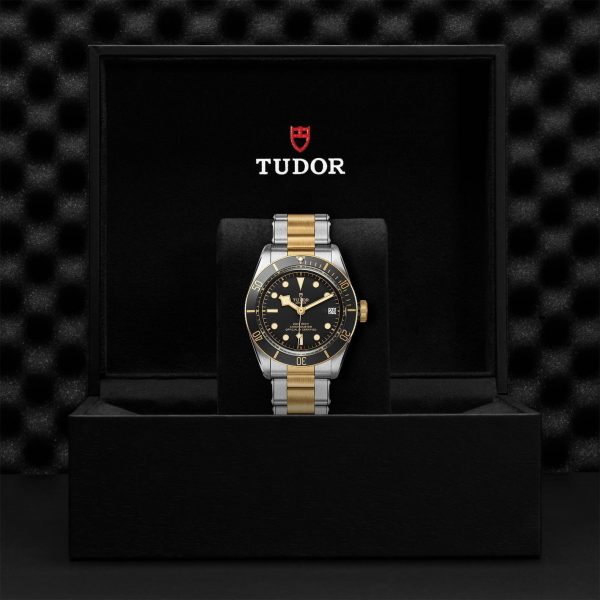 M79733N 0008 tudor watch carousel 4 4 10 2023