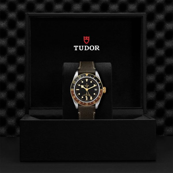 M79833MN 0003 tudor watch carousel 4 4 10 2023