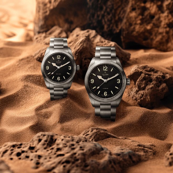 Tudor Ranger M79930-0001 - Image 3