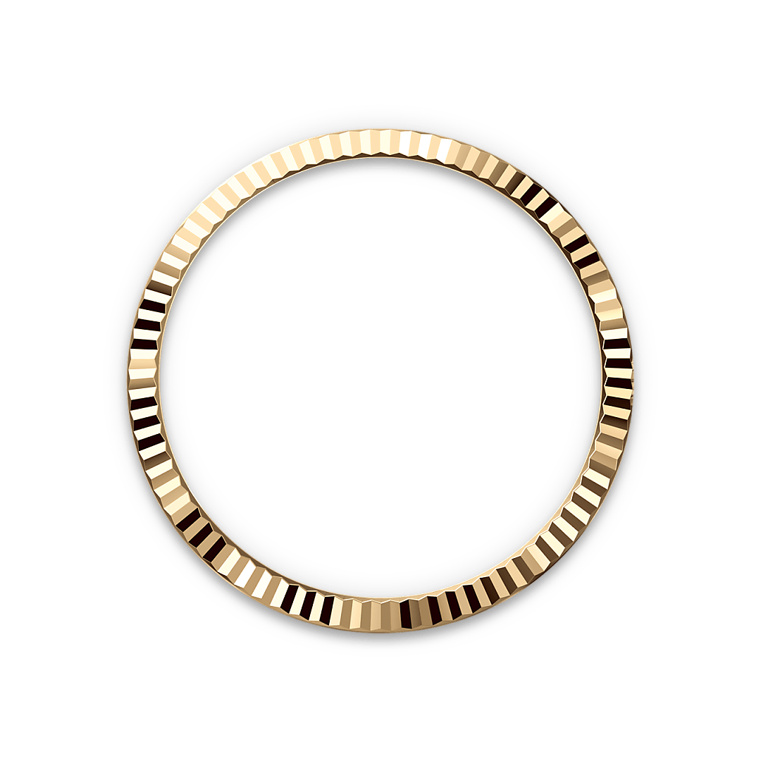 Bezel Berjejalur Rolex - Swee Cheong Watch