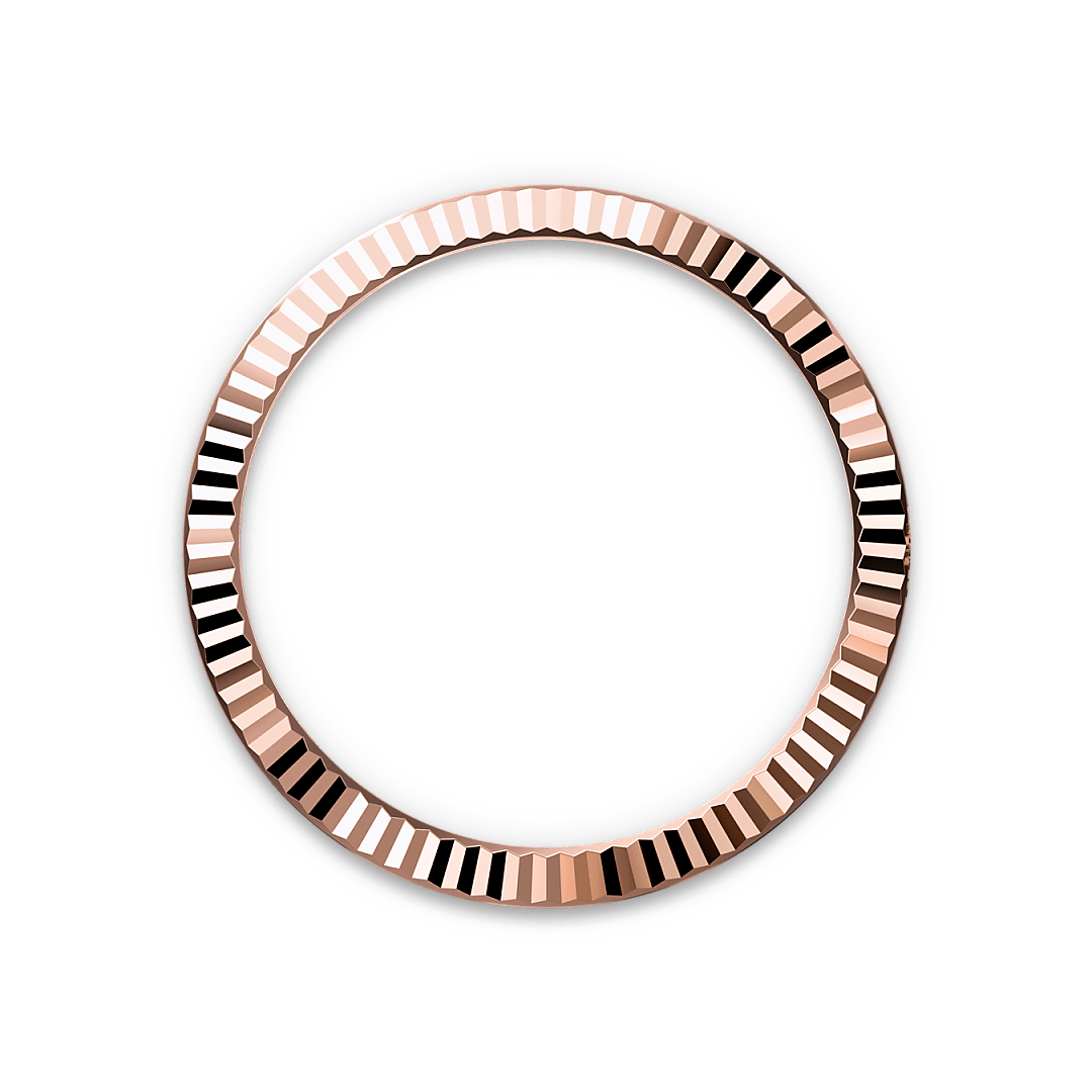 Bezel Berjejalur Rolex - Swee Cheong Watch
