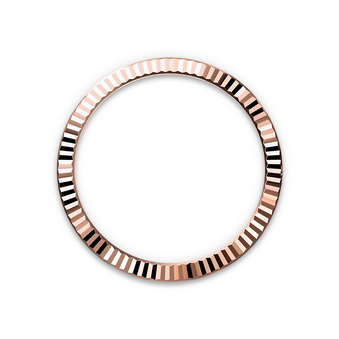 Bezel Berjejalur Rolex - Swee Cheong Watch