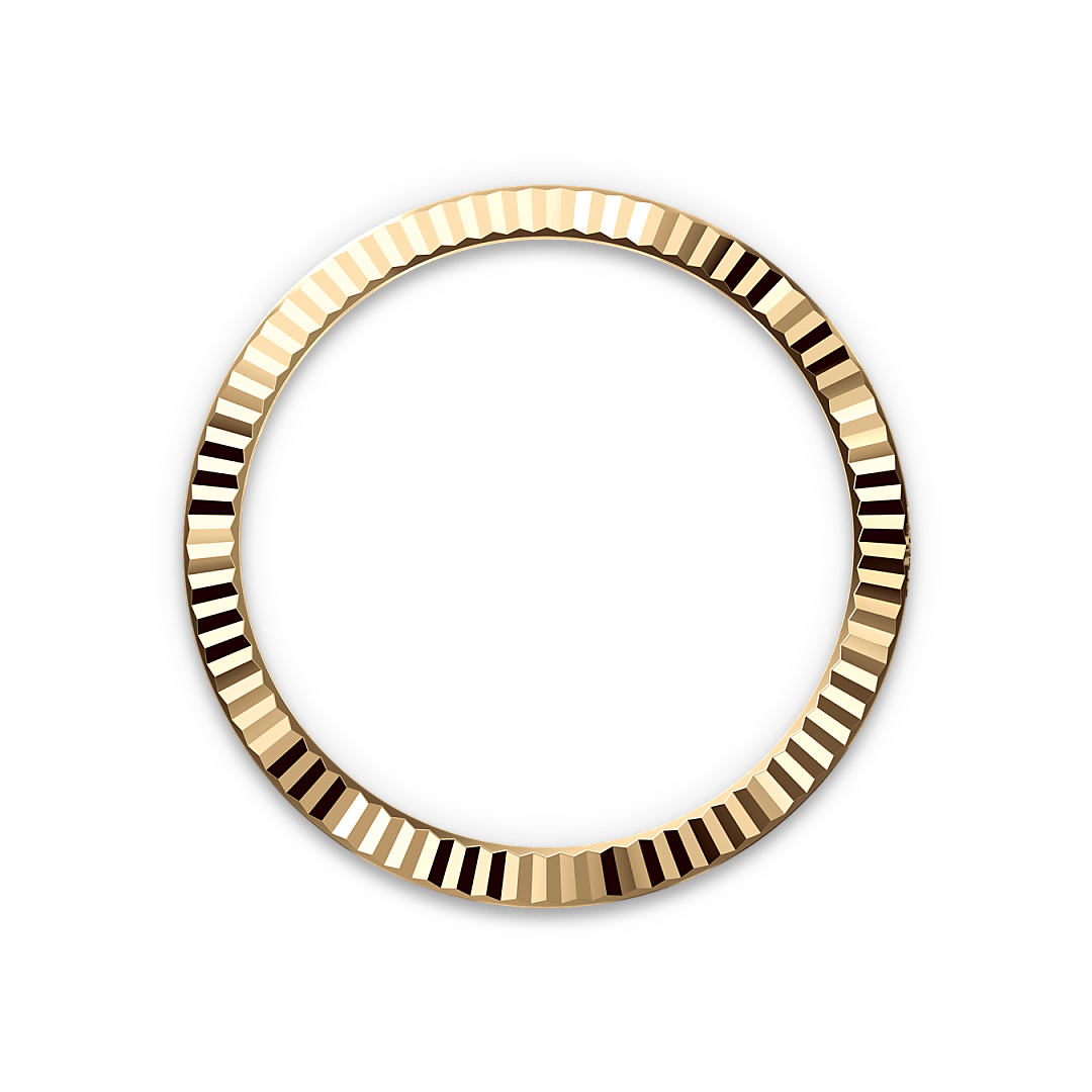 Bezel Berjejalur Rolex - Swee Cheong Watch