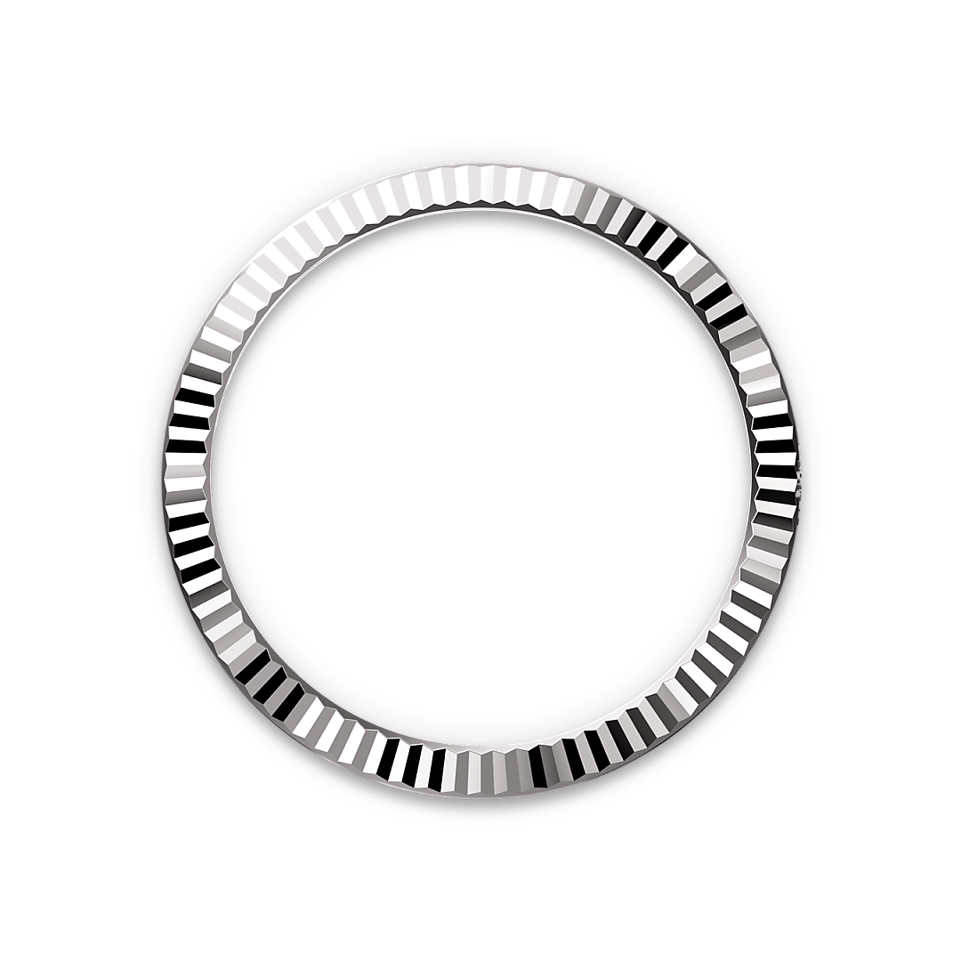 Bezel Berjejalur Rolex - Swee Cheong Watch