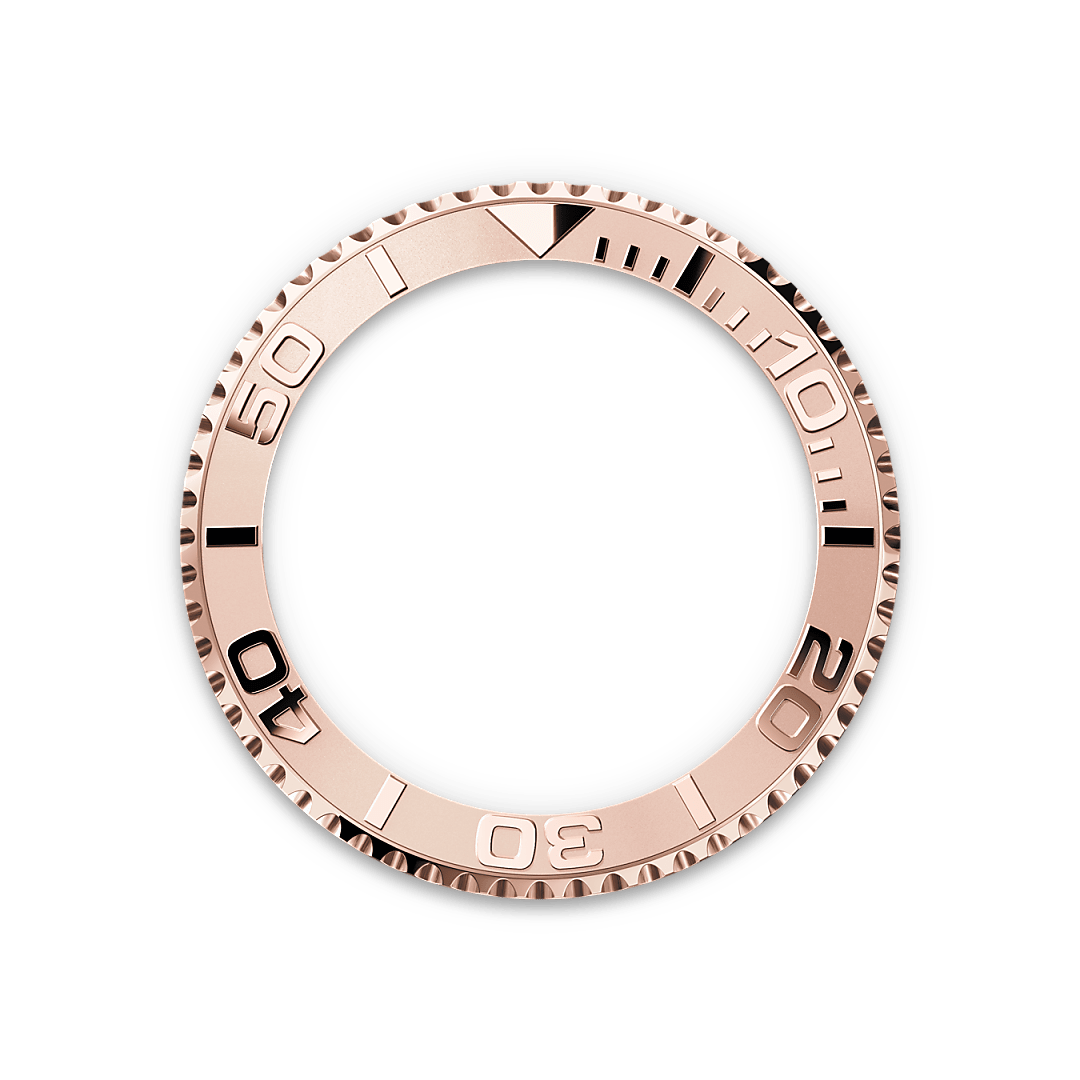 Rolex Bidirectional Rotatable Bezel - Swee Cheong Watch