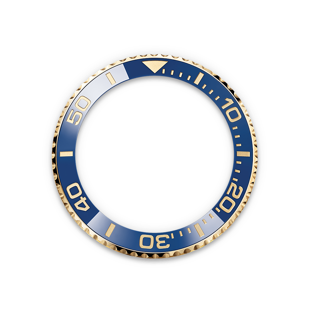 Rolex Cerachrom bezel insert - Swee Cheong Watch