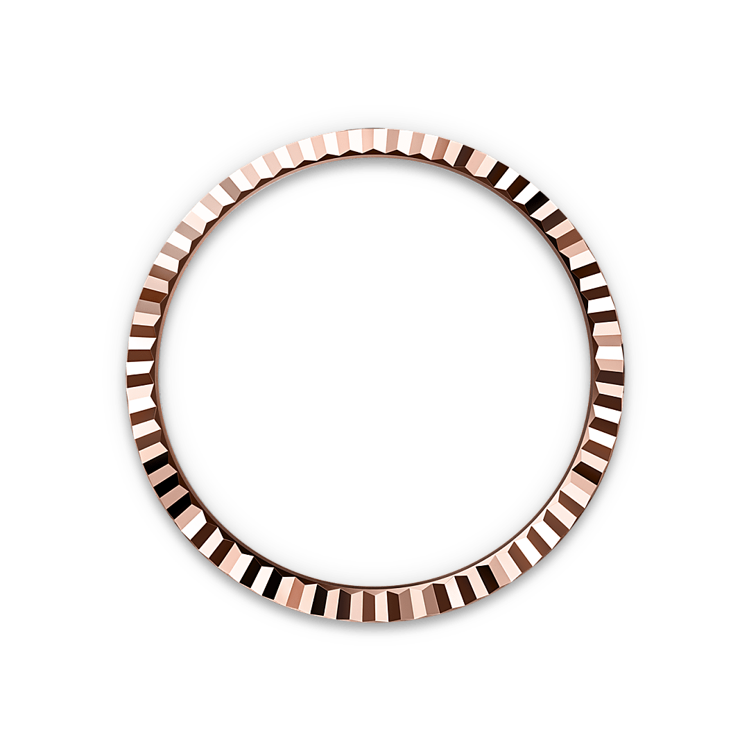 Bezel Berjejalur Rolex - Swee Cheong Watch