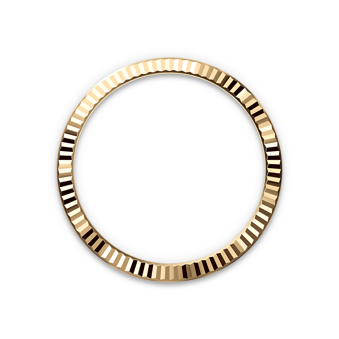 Bezel Berjejalur Rolex - Swee Cheong Watch