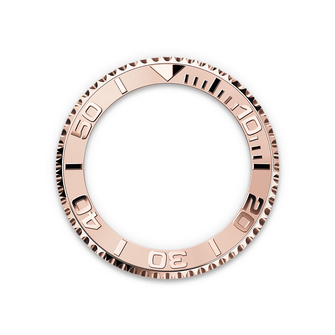 Rolex Bidirectional Rotatable Bezel - Swee Cheong Watch