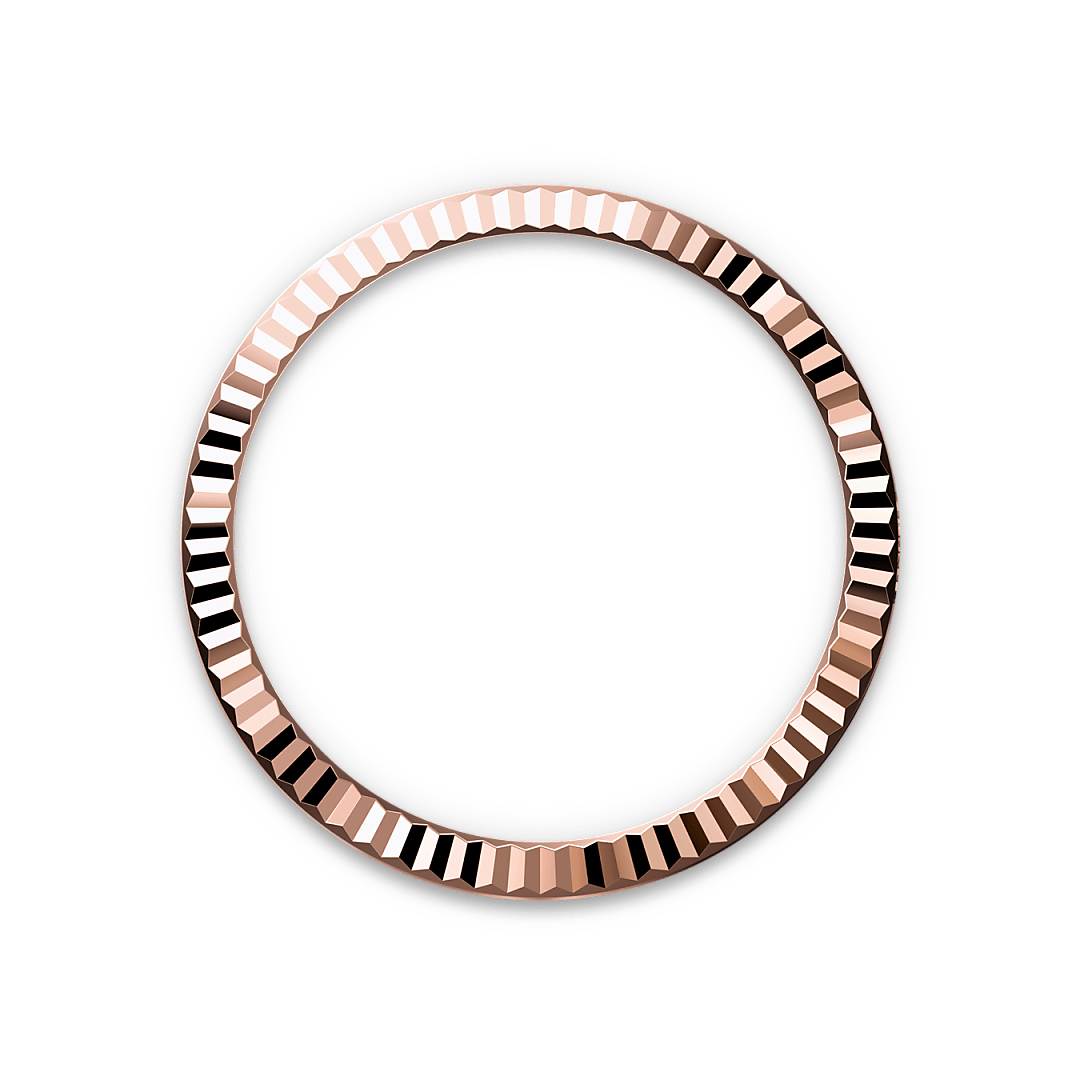 Bezel Berjejalur Rolex - Swee Cheong Watch