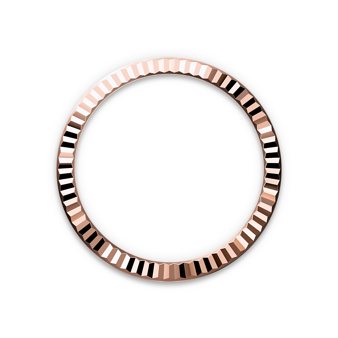 Bezel Berjejalur Rolex - Swee Cheong Watch