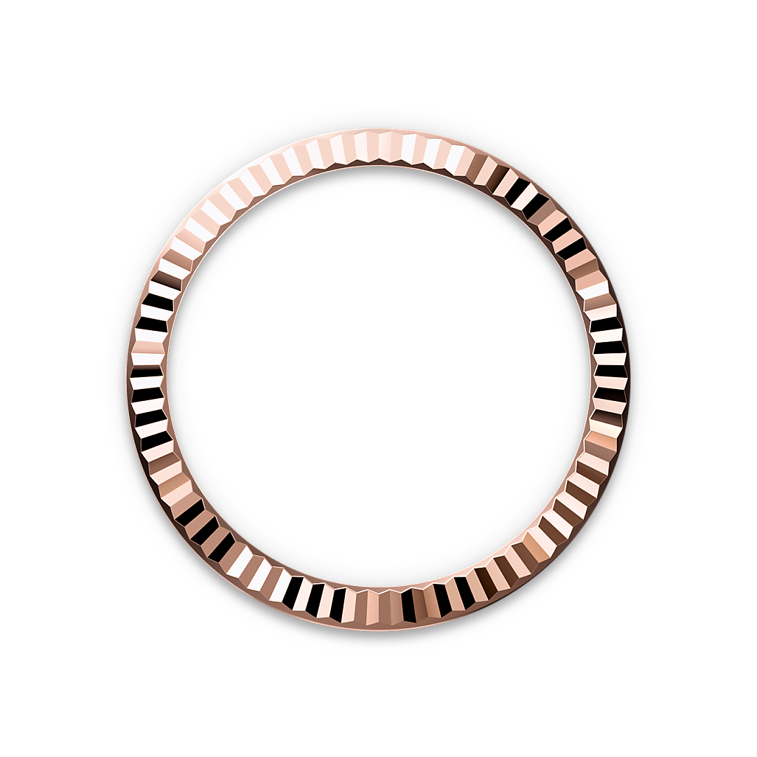 Bezel Berjejalur Rolex - Swee Cheong Watch